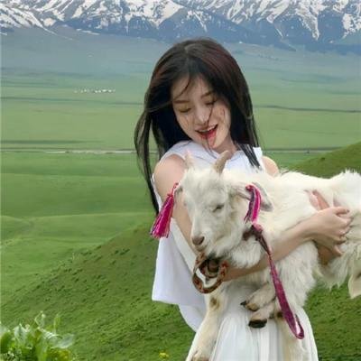 功夫王之萌虎上山预告片